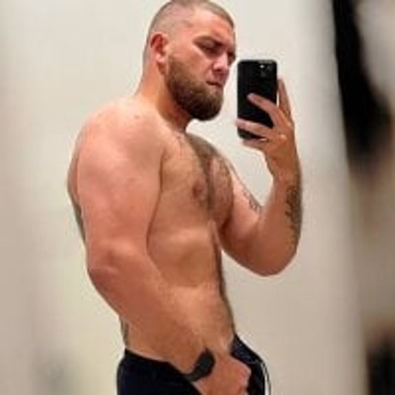 Bear_bear_