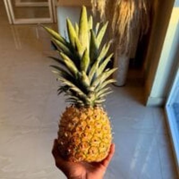 Phatkuchi