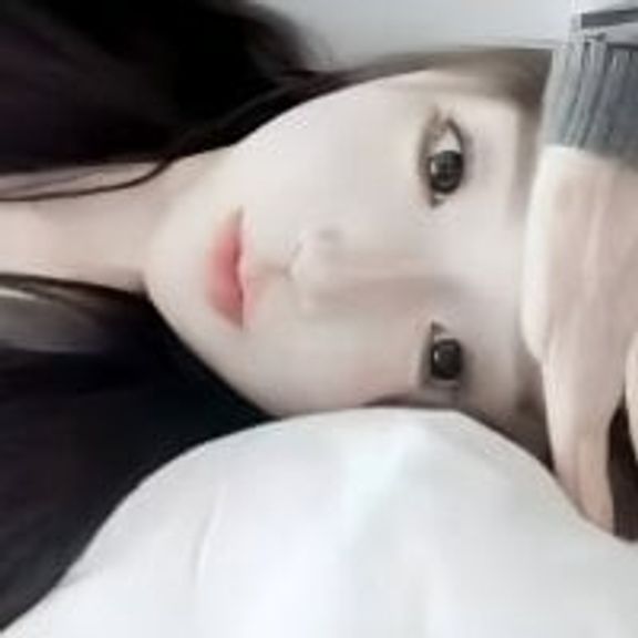 Bo-TvT