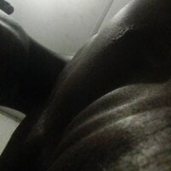 Mr_LowHanger