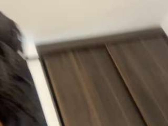 Mel