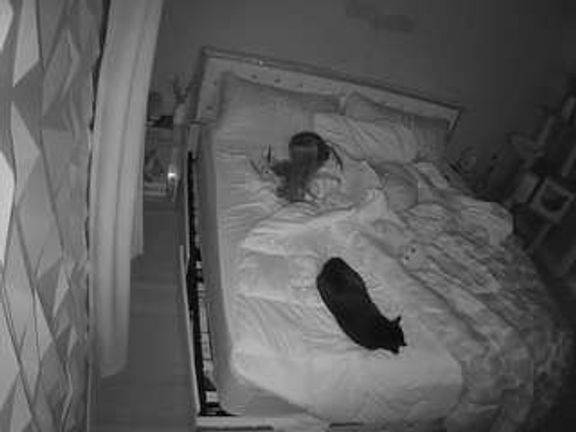 voyeurcam-whitneyoc-01