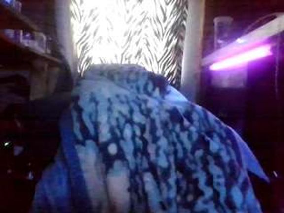 secretsexpert