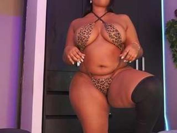 Rox Thee Stallion