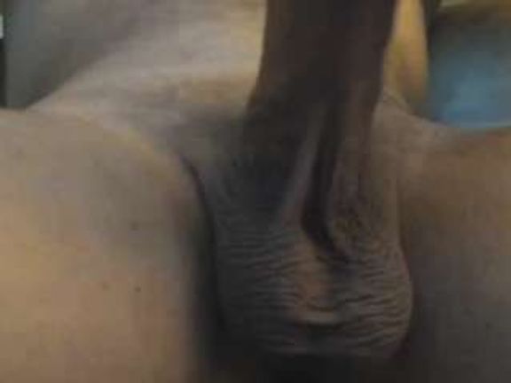 threedollars
