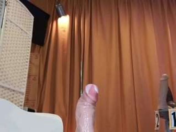 Bunny_delight
