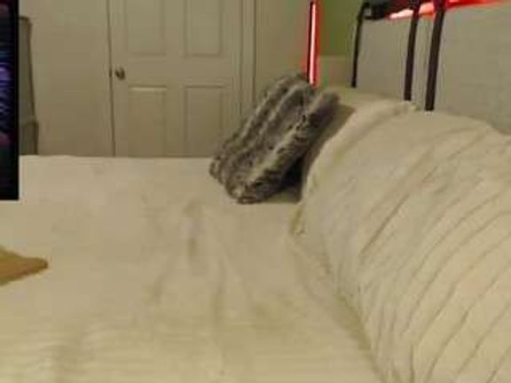ivynyxx3580