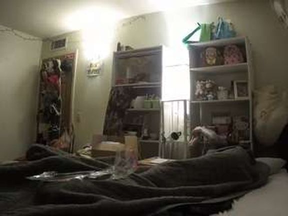 voyeurcam freakyfeline 01