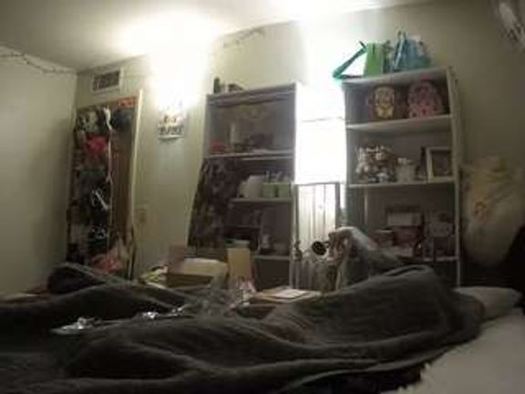 voyeurcam freakyfeline 01