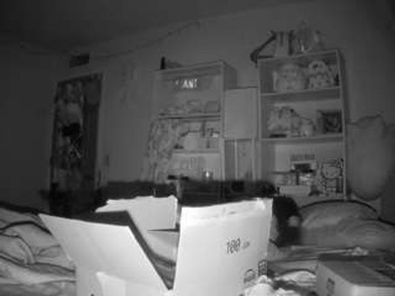 voyeurcam freakyfeline 01