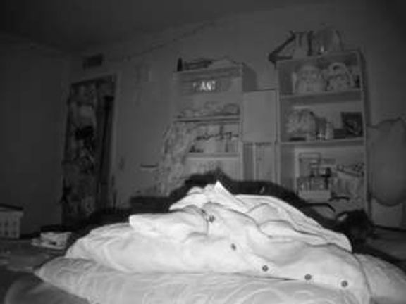 voyeurcam freakyfeline 01