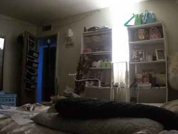 voyeurcam freakyfeline 01