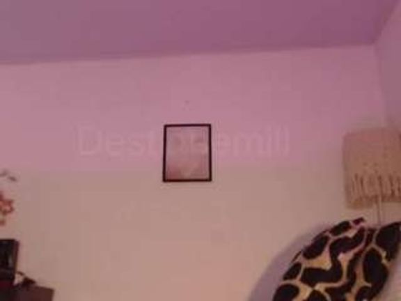 destinnemills