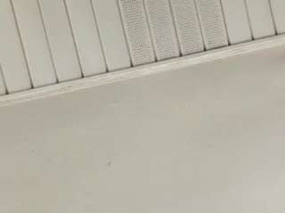 TwitchDgamer1