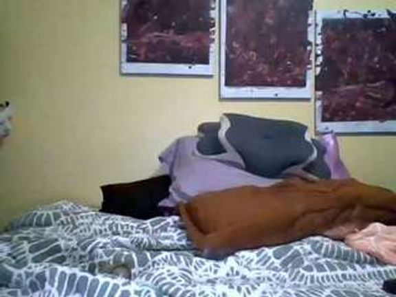 sengerdog