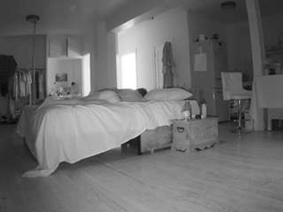 voyeurcam-celticiron-02