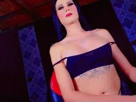 PARADISETRANSS
