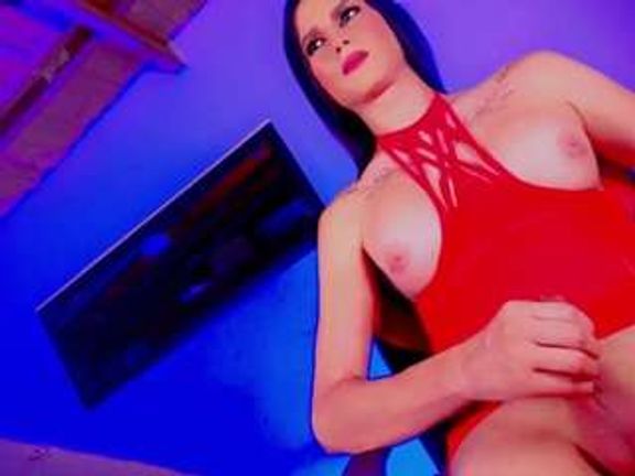 PARADISETRANSS