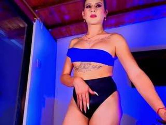 PARADISETRANSS