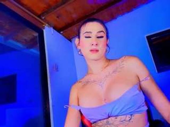 PARADISETRANSS