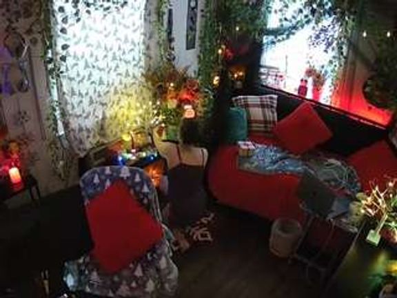 voyeurcam veccasalt 01