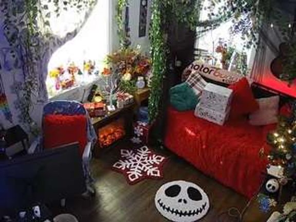 voyeurcam veccasalt 01