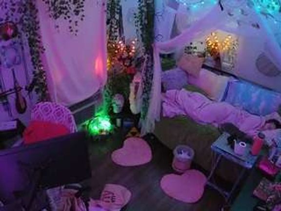 voyeurcam veccasalt 01