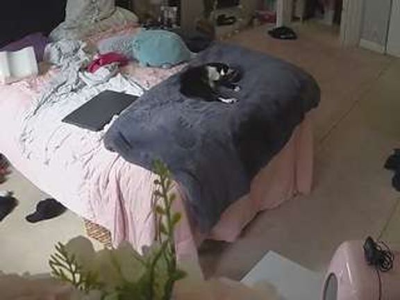 voyeurcam house charleys room
