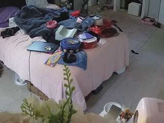 voyeurcam house charleys room