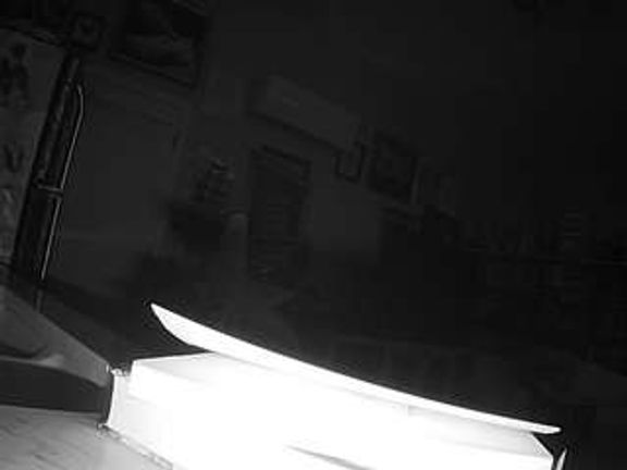 voyeurcam bridgetleewalters 02