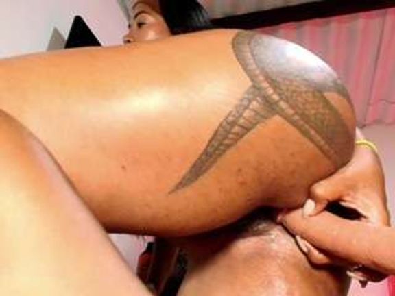 saamytits