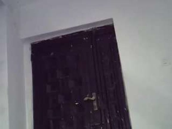Freakybrula