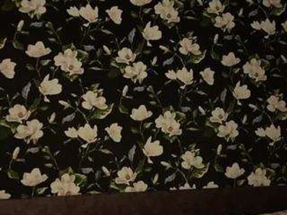 Ivy