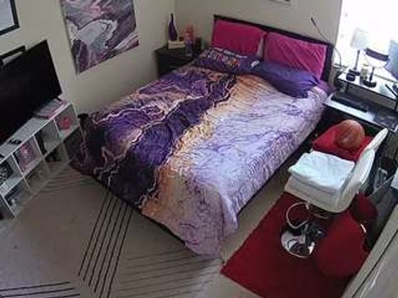 The Horny Hostel - Bedroom 2
