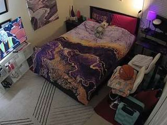 The Horny Hostel - Bedroom 2