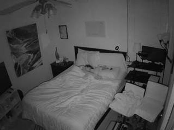 The Horny Hostel - Bedroom 2