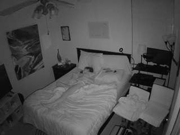 The Horny Hostel - Bedroom 2