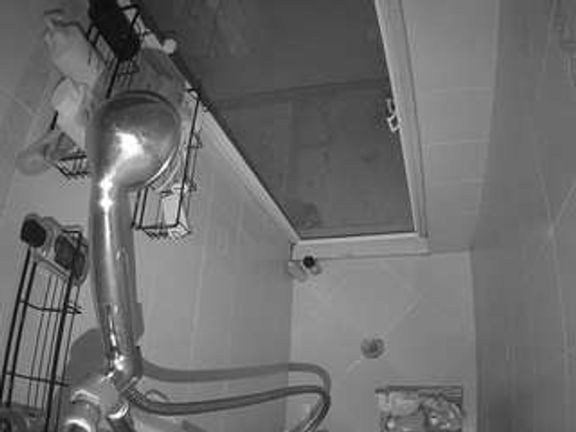 Sexy Girl Shower