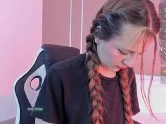 elaia-bridge