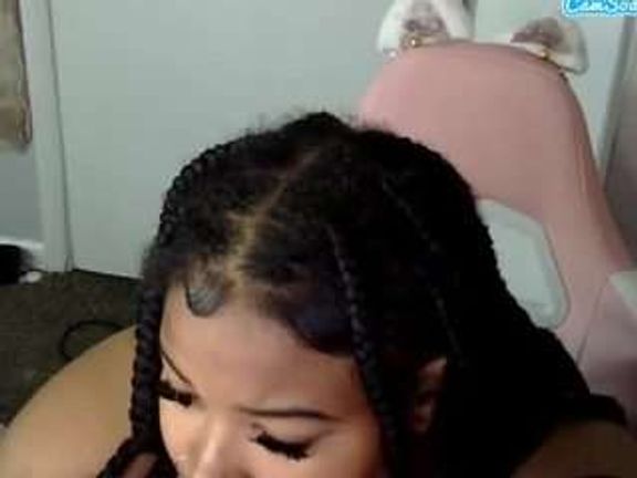 petmy-kitty