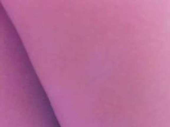 LexyyFoxx
