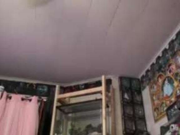 SaraLaw22
