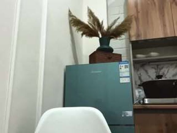 Li