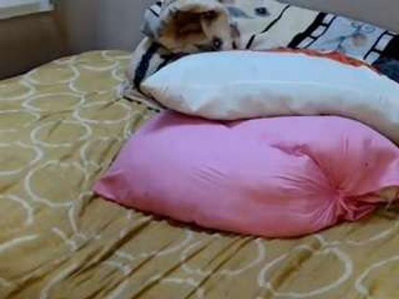 ChocolateCandy34