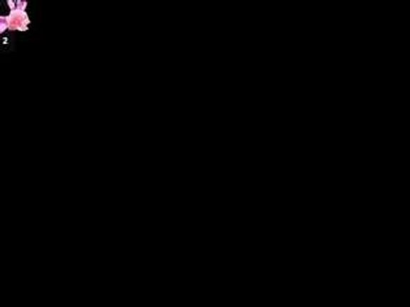 LolaLoot