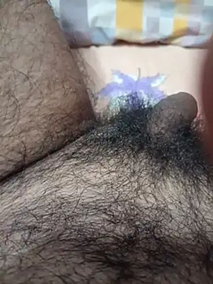 cockman_suyut04