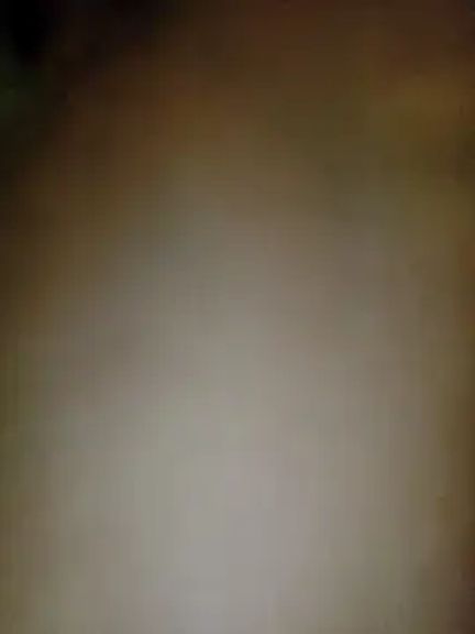 QcMisterv13