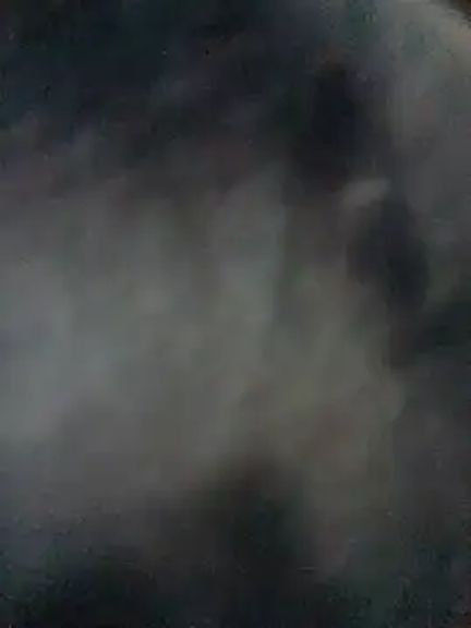 qamarrashi