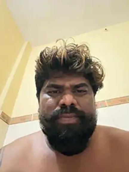 bigdog_ds