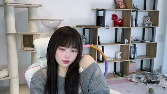 SakuraCat6